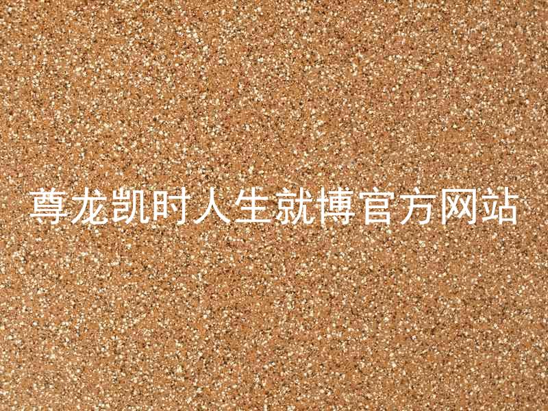 尊龙凯时人生就博官方网站