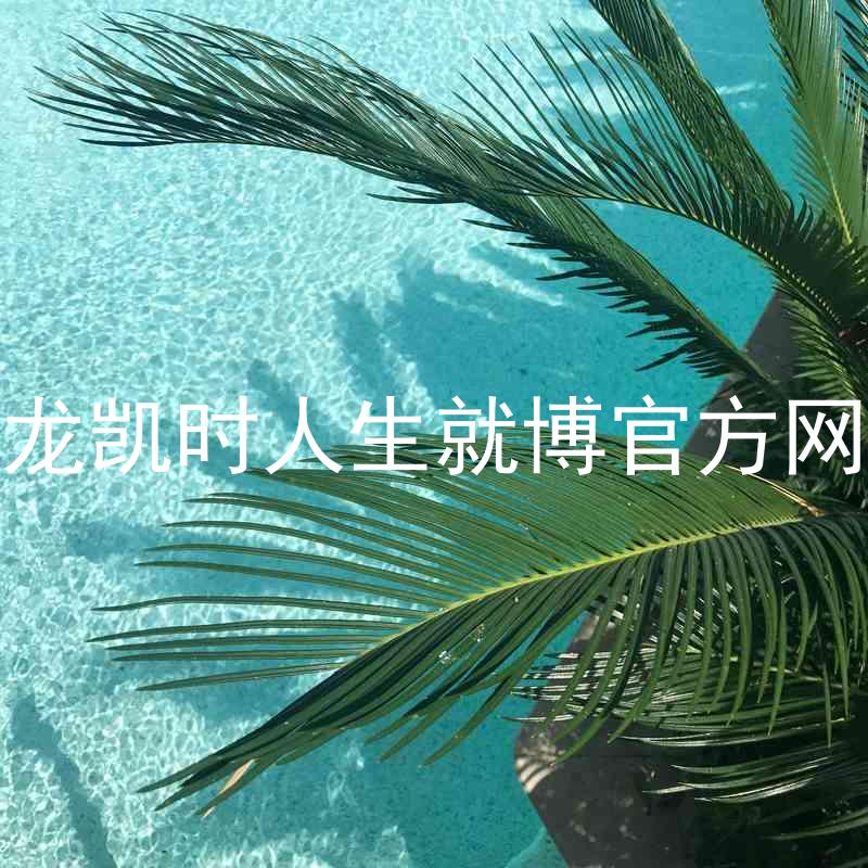 尊龙凯时人生就博官方网站